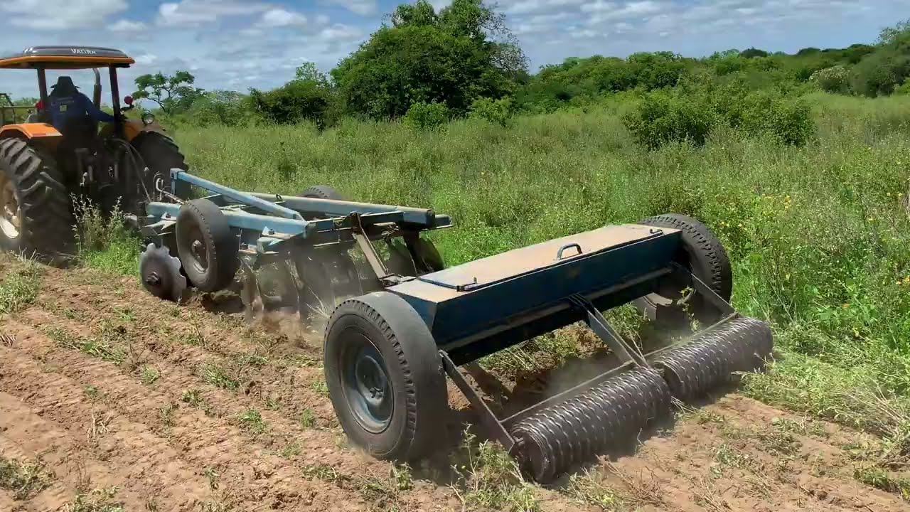 PLANTIO DE BUFFEL 2022 - Fazenda Carnaúba