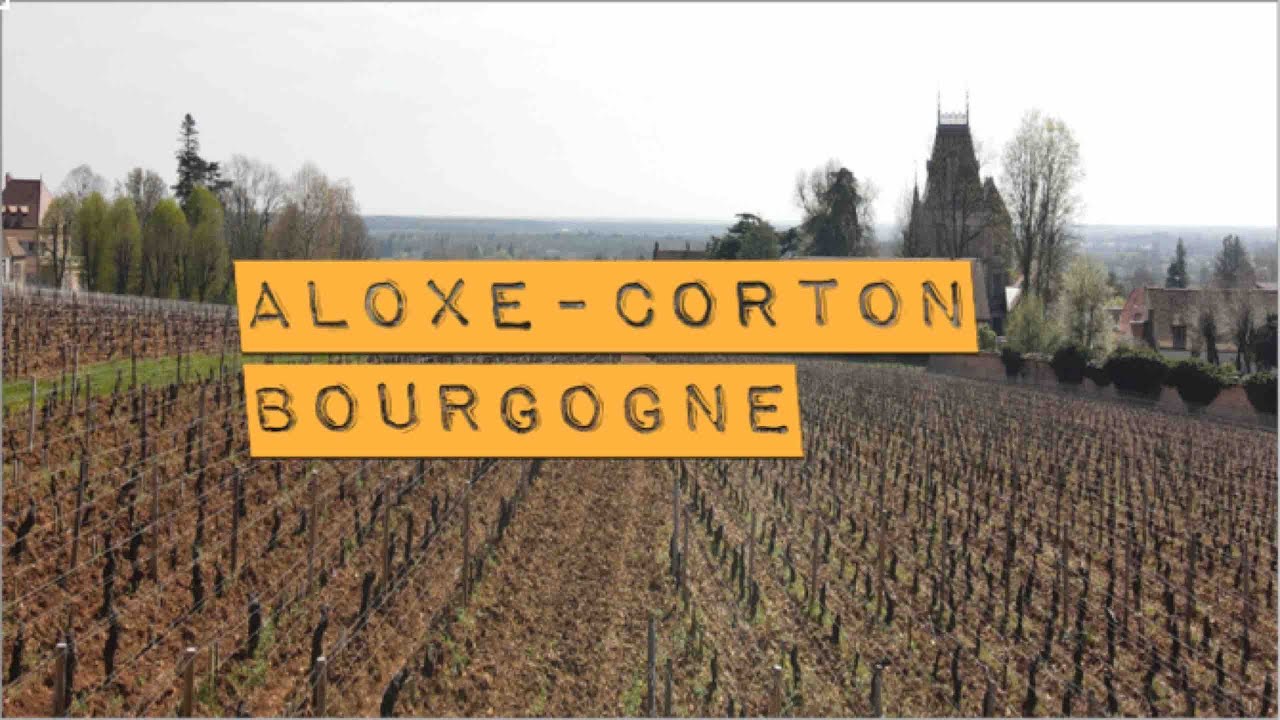 Chateau de Corton André (Aloxe-Corton) Côte d'Or