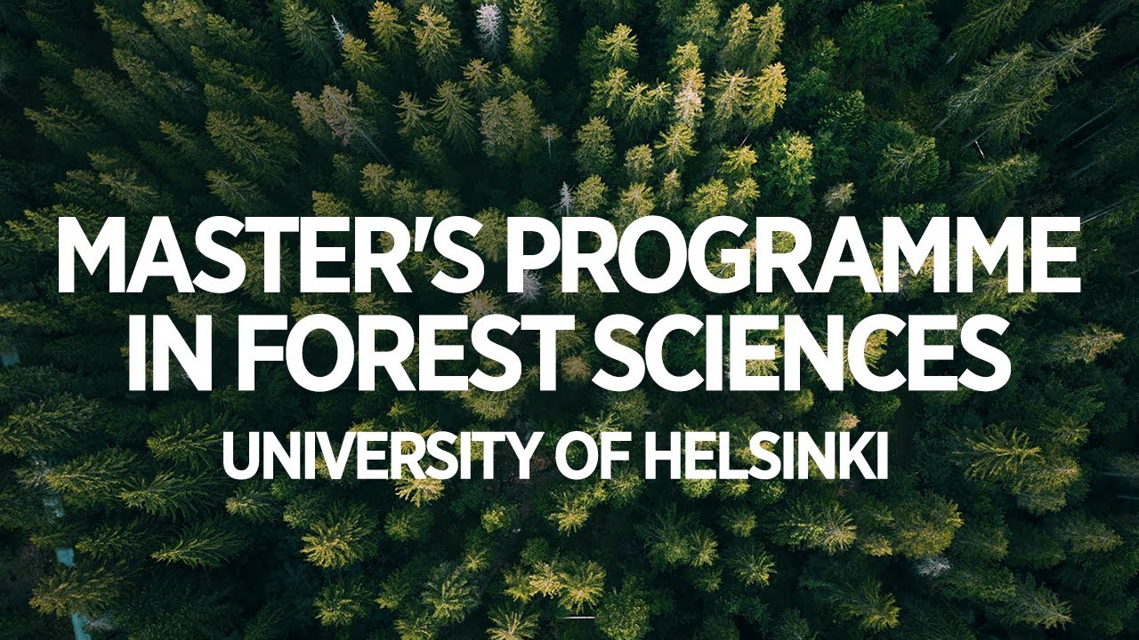 Master's Programme in Forest Sciences | University of Helsinki