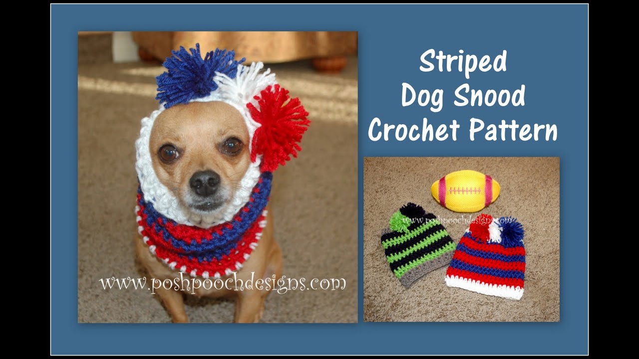 Learn To Crochet The Striped Dog Snood Crochet Pattern