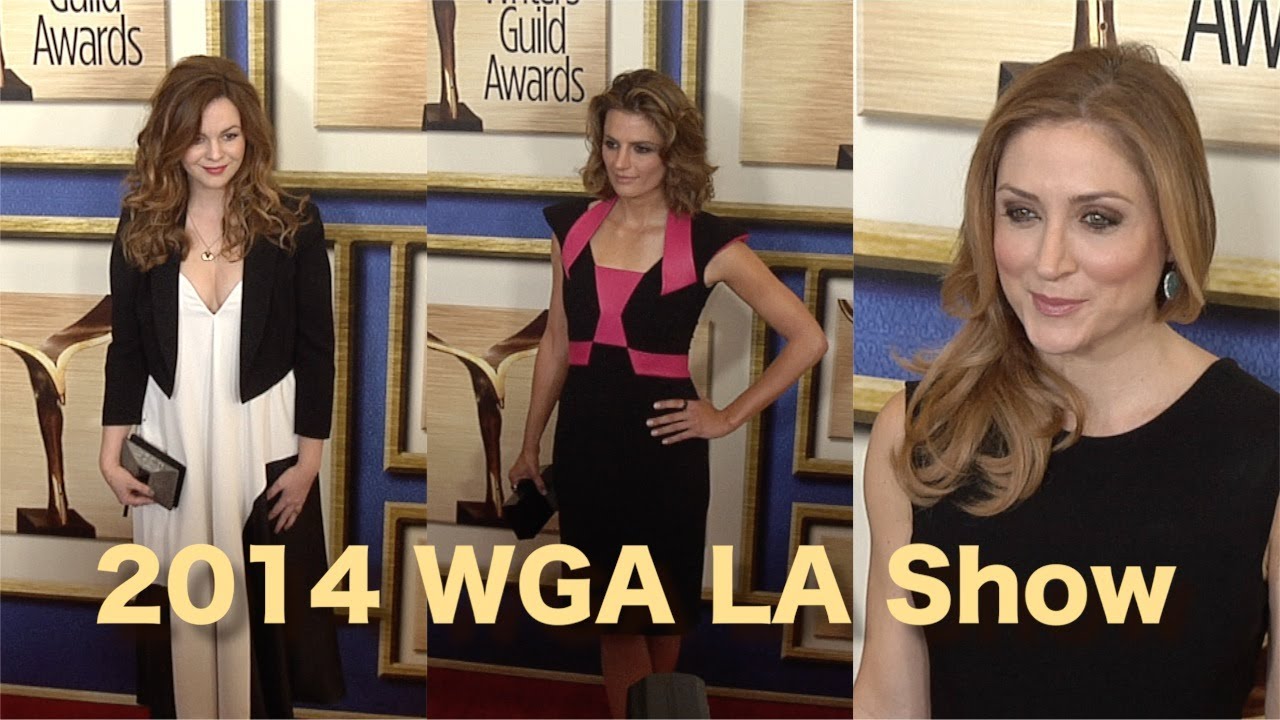 Stana Katic, Sasha Alexander, Amber Tamblyn, Betsy Brandt 2014 WGA Arrivals