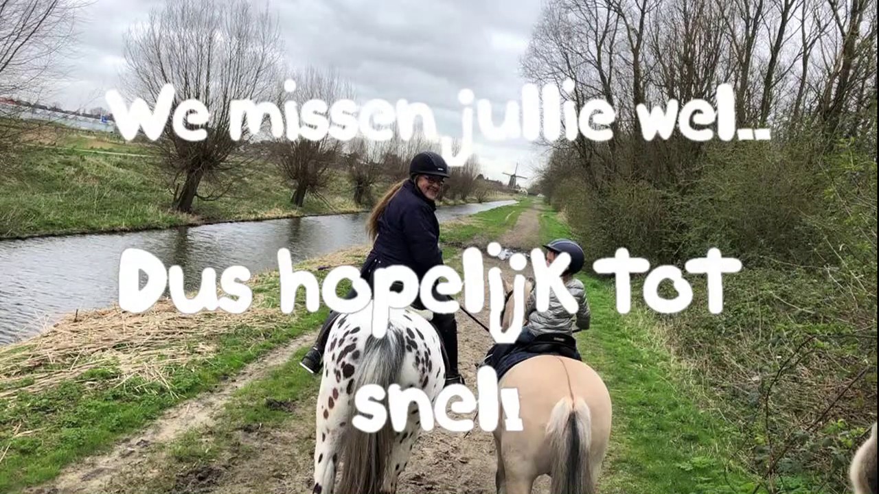 manege pony's op Hippisch Centrum Nootdorp tijdens de corona crisis
