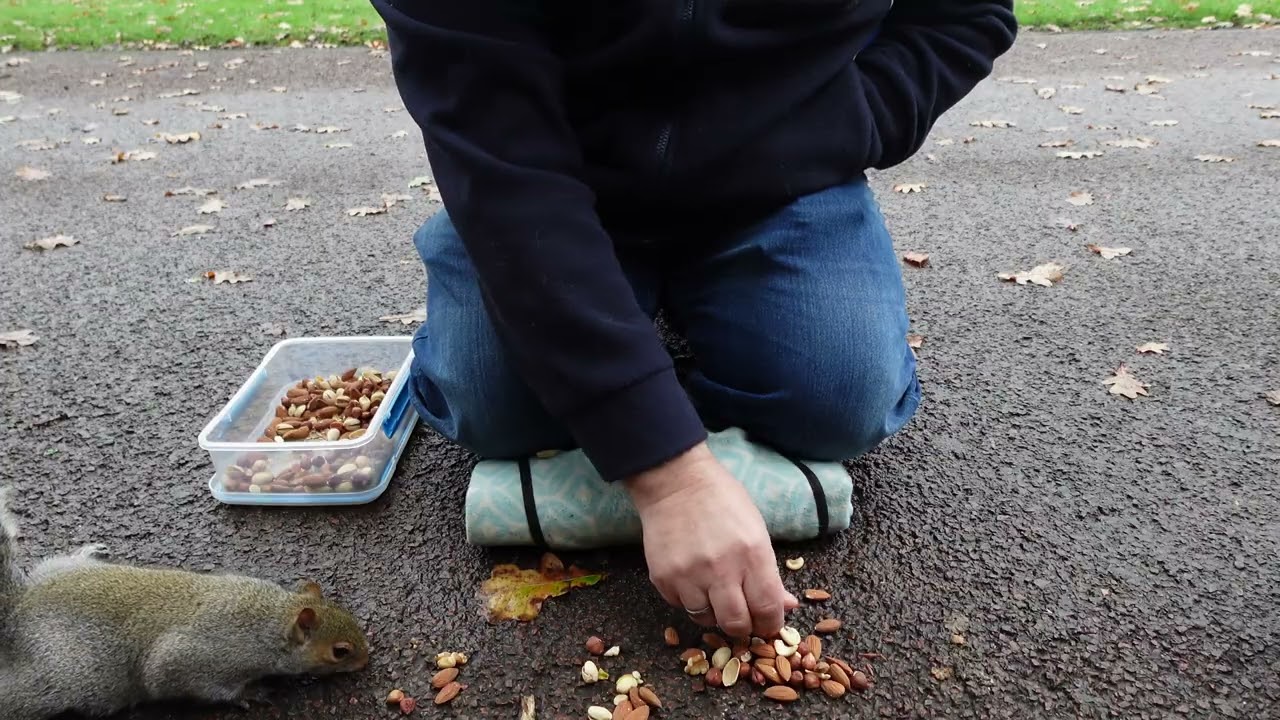 Feeding the squirrels in the park