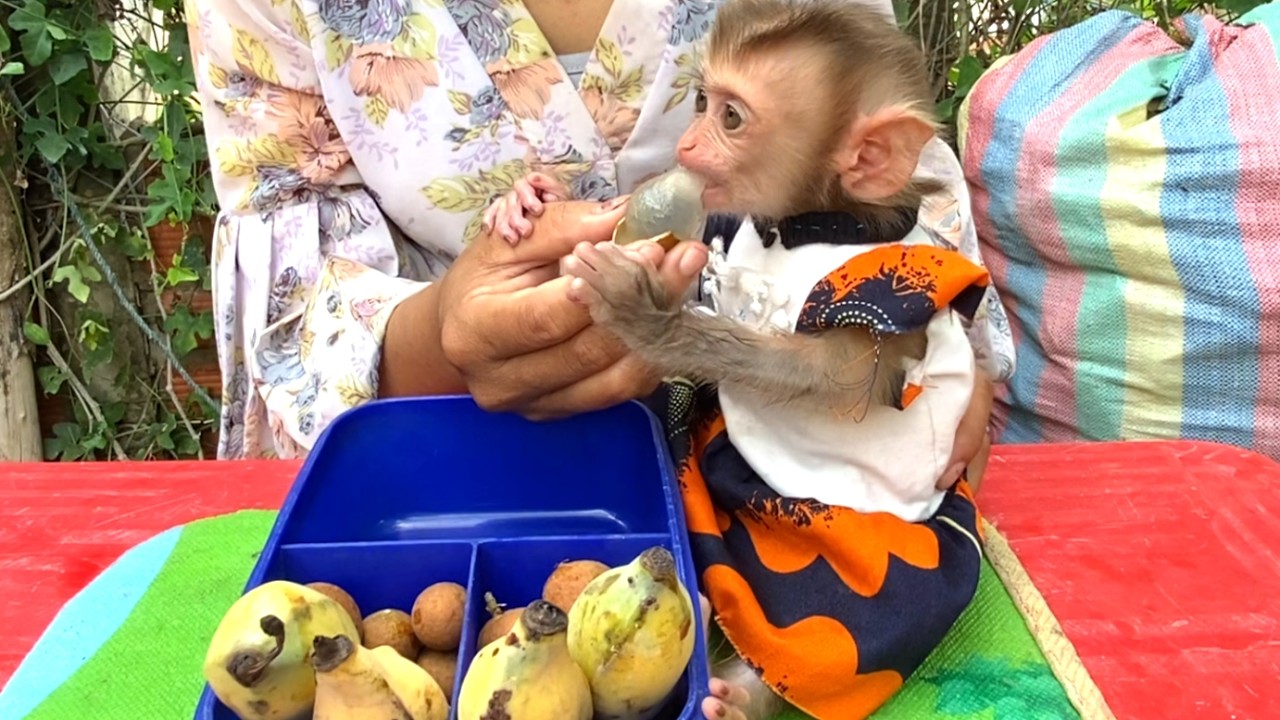 So happy!! Mom took her Adorable baby  LIORA to eat lots of fruits in the garden