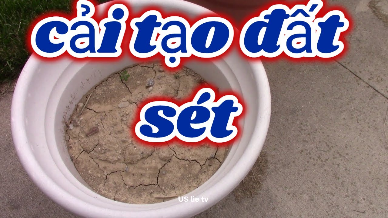 Cách cải tạo đất sét