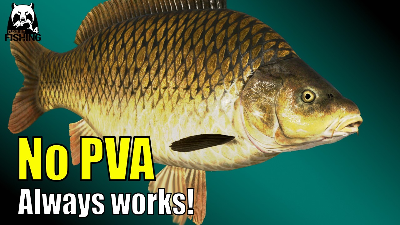 Russian Fishing 4 - Bear Lake - Без ПВА, только поп-апп-корн, всегда работает! #rf4