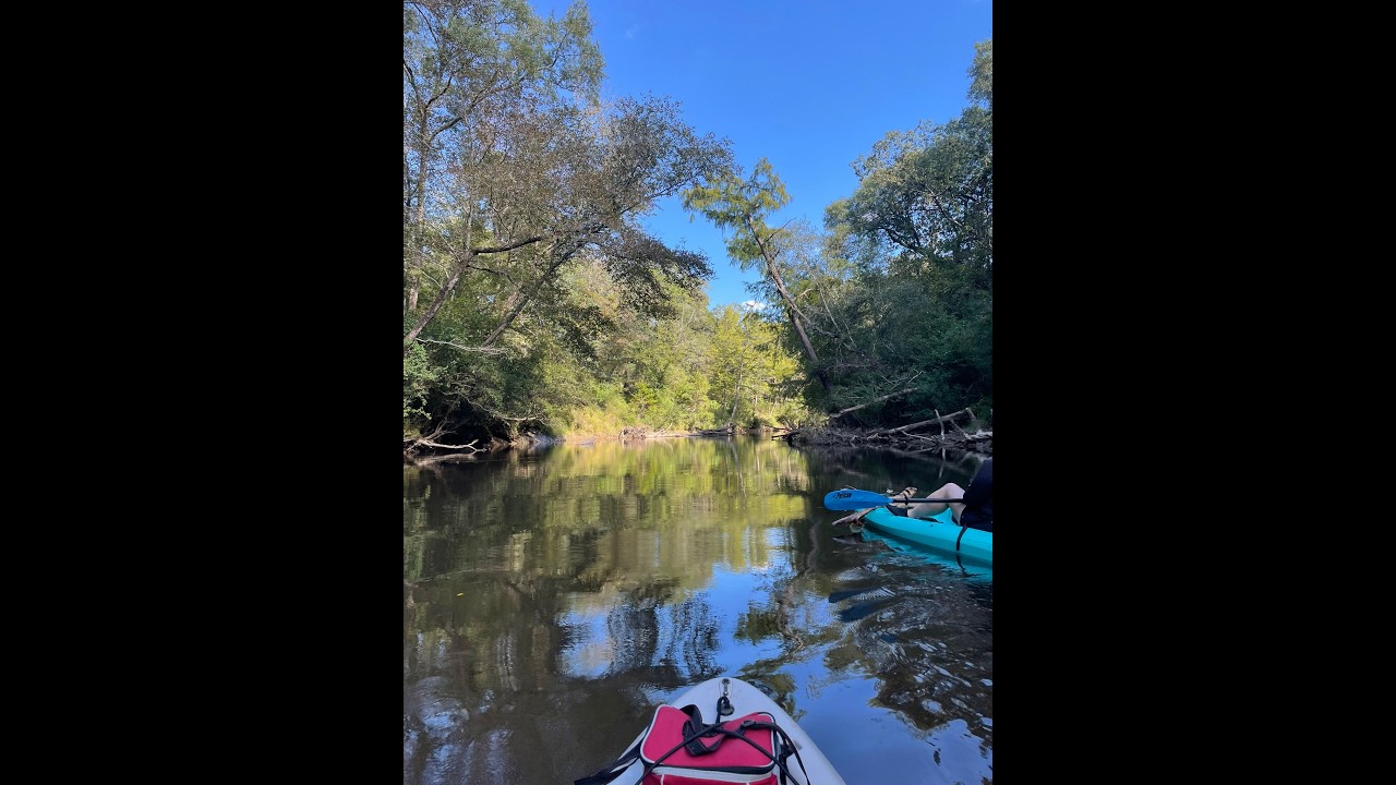 Black Creek Warp Speed Oct 2025