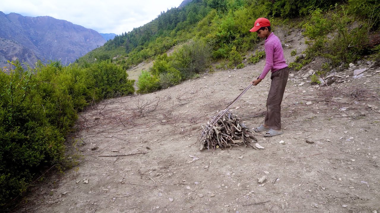 dharme brother's son finding firewood || rural Nepal || village natural lifestyle in Nepal ||