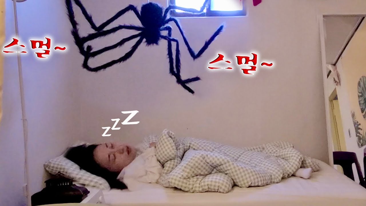 SUB) 스파이더맨에 푹 빠진 동생 초대형 거미로 하루종일 조지기ㅋㅋㅋ오랜만에 역대급 레전드 리액션나옴ㅋㅋㅋㅋㅋ