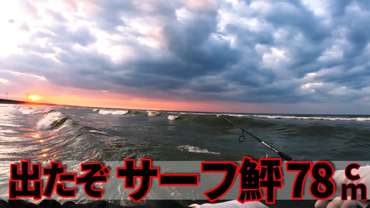 ランカーシーバス狙いでデイサーフに入ったら座布団ヒラメが食付いた