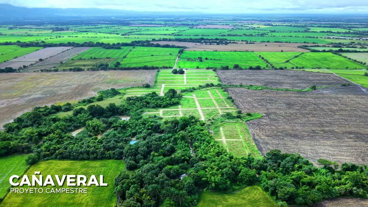 Tu Lote en Tolima por $13 Millones 🏡 | Proyecto Cañaveral