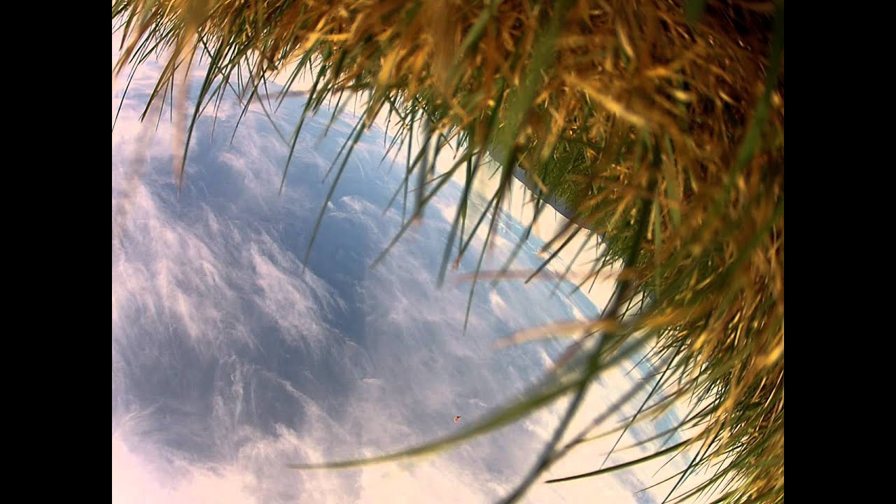 gopro freefall from 12500 without case