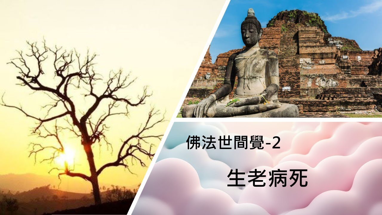 【生老病死】黃逢徵佛學講座 37