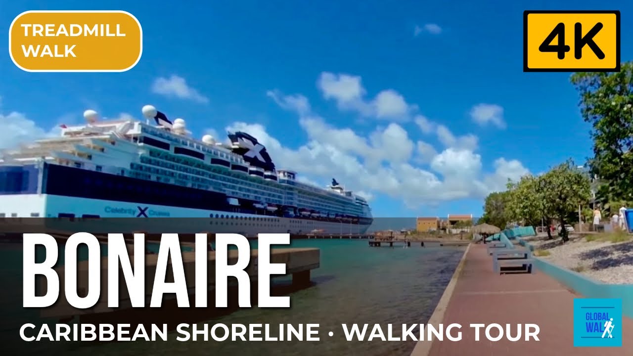 Walk along the Caribbean shoreline of Kralendijk, Bonaire [Treadmill Scenery, Virtual Walk]