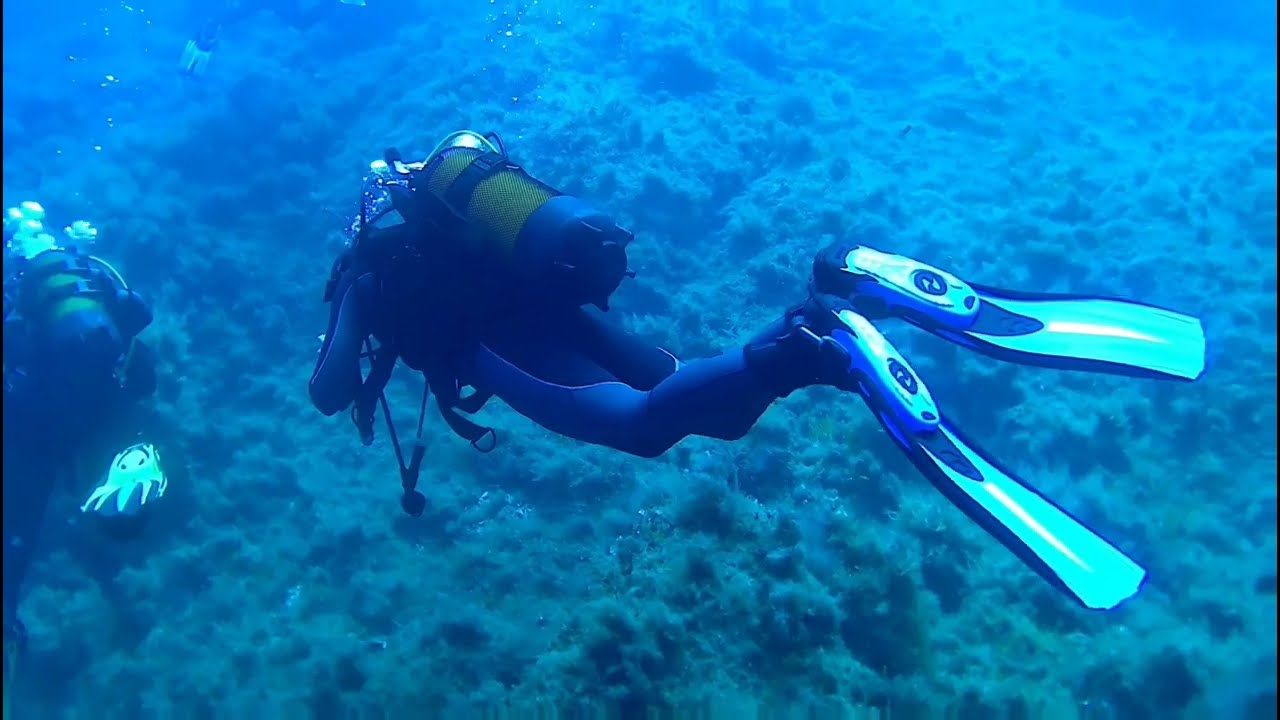 Argentario Immersioni 08/2023 Full Dive Porto Ercole