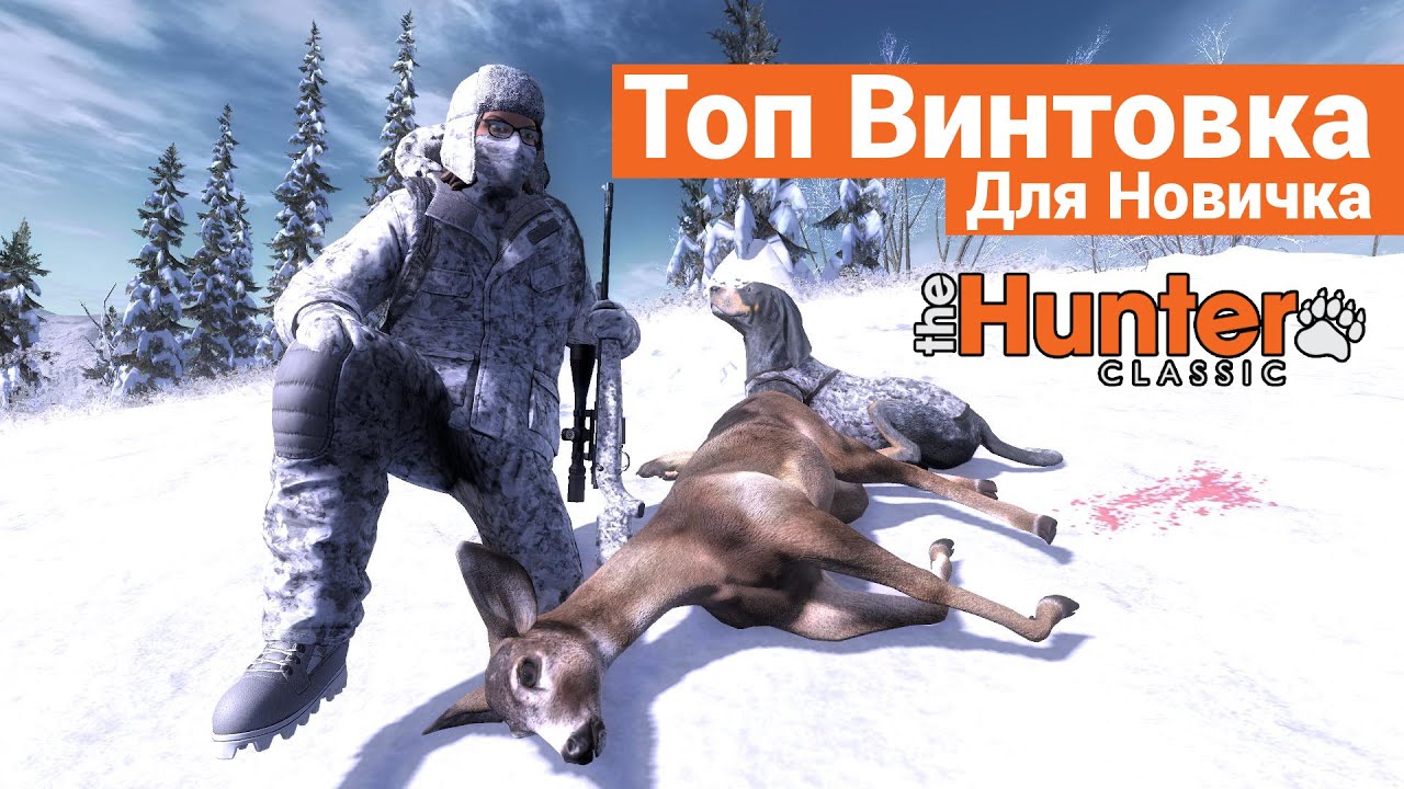 Почему .300 - Лучшая Винтовка для новичка ? - theHunter: Classic