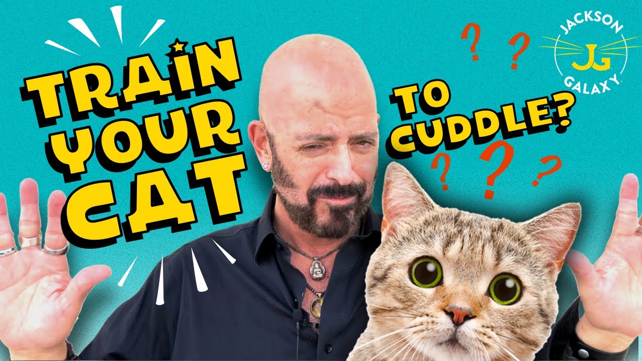 Great Catspectations