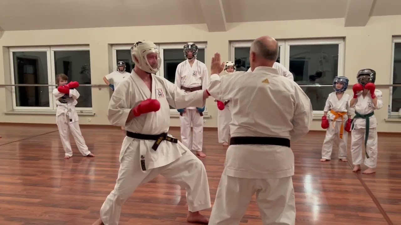 hanshi Tomasz Piotrkowicz obrona przed mawashi geri (techniki tradycyjne)