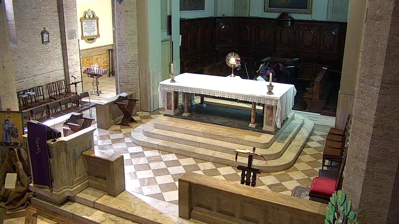 Santa Messa - 22/02/2026 11:30