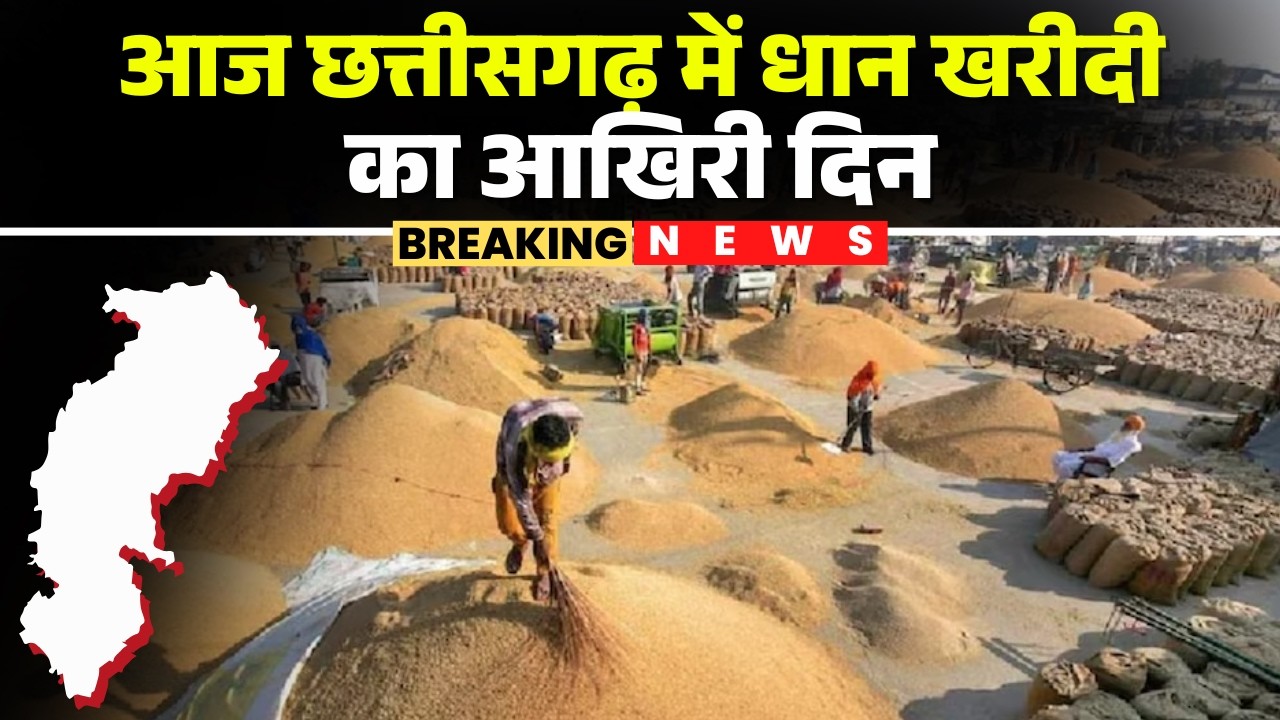 CG Dhan Kharidi News : आज छत्तीसगढ़ में धान खरीदी का आखिरी दिन | Janjgir News | CG News