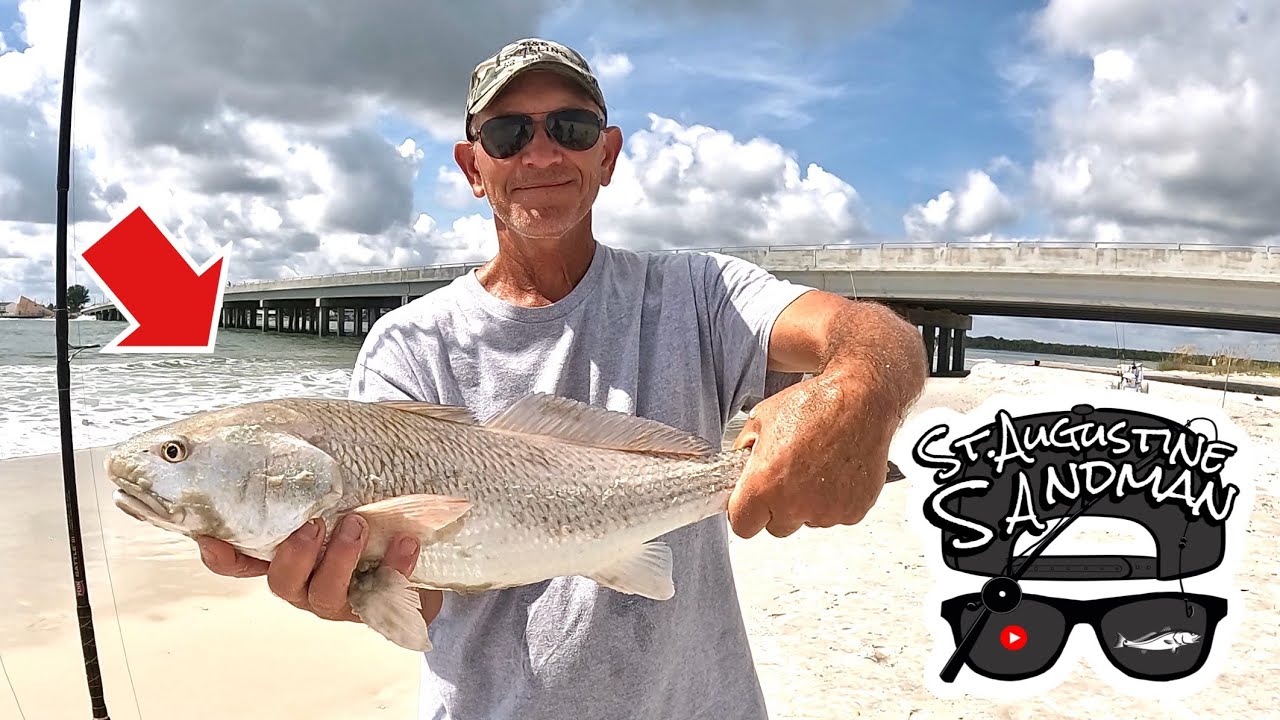 Some Nice catches this week. St Augustine fishing Adventures with Elon 