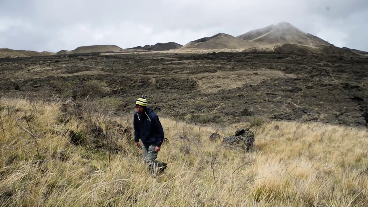 Trekking in a mountainous paradise: Mount Cameroon National Park