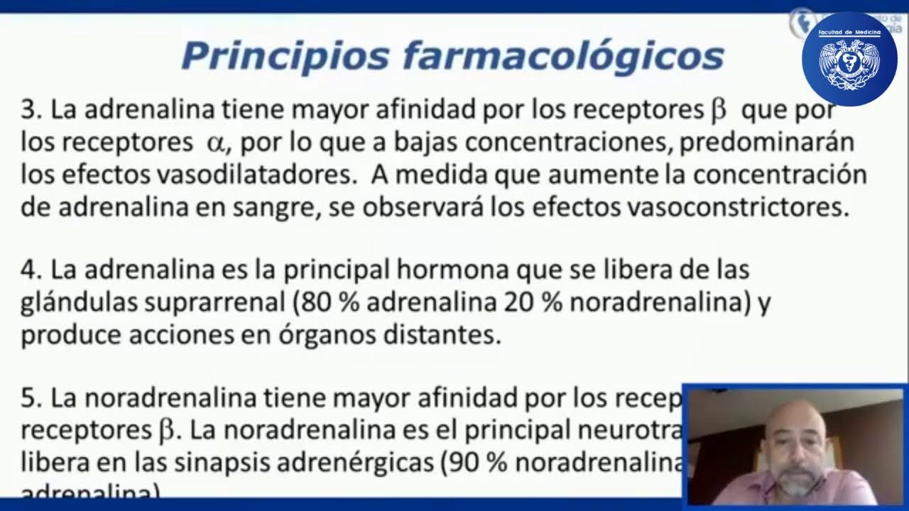 Asesorías por parte del Departamento de Farmacología 