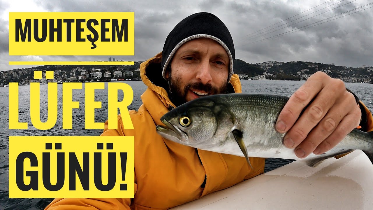 Muhteşem Bir Lüfer Günü ! Uzun Olta Lüfer Avı | Boğazdayız