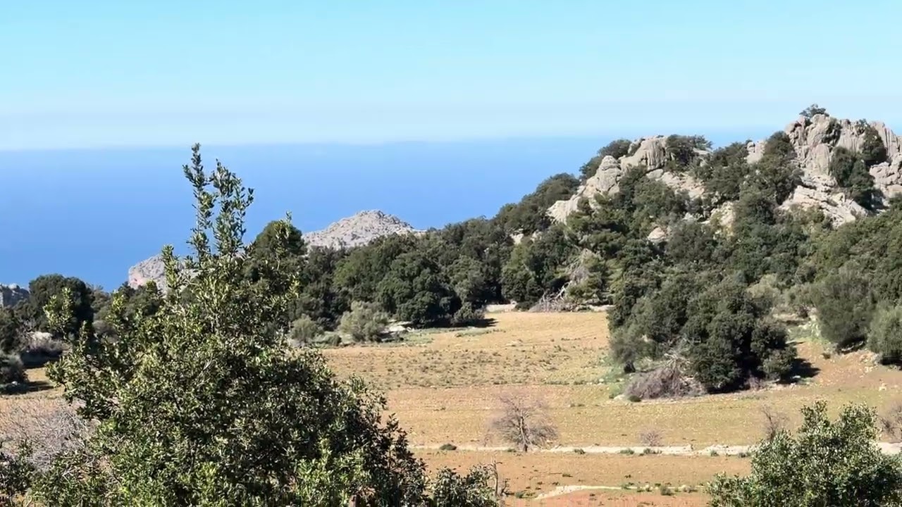 España | Mallorca | Tramontana | Ma-10 - Escorca - Mirador 22.02.2026