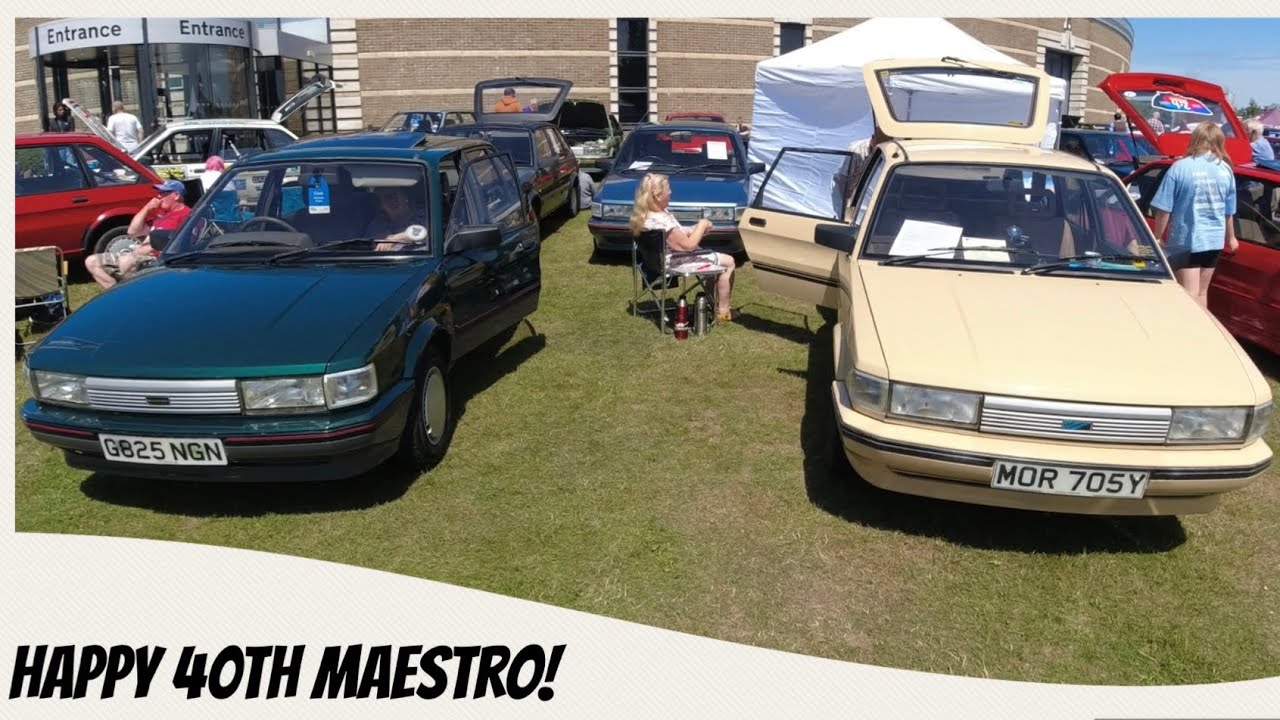 Austin Rover Maestro 40 Years Old! The Celebrations At The British Motor Museum 2023