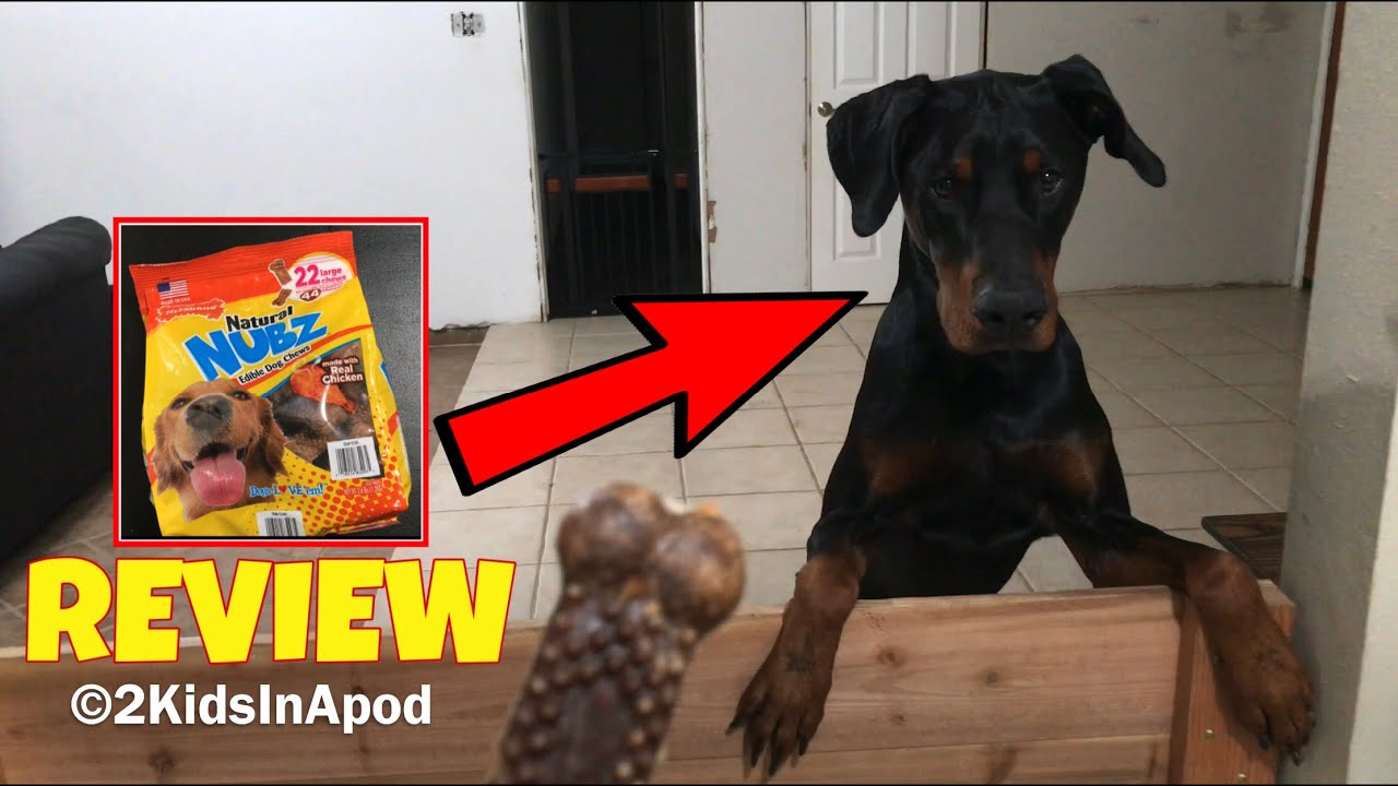 UNBOXING NUBZ Natural Edible Dog Chews + Dog Treat Review! See If Loki The Doberman Likes It!