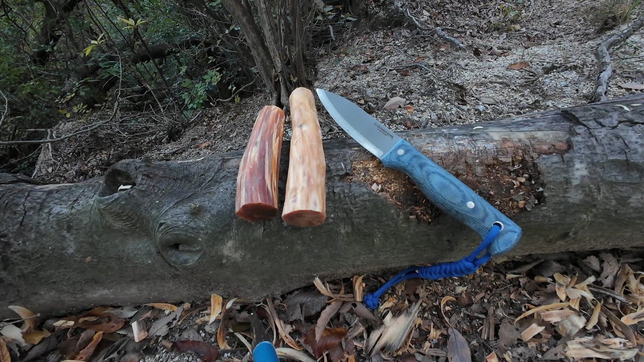 ファットウッドの皮剝き。その１４９　(Peel the skin off Fatwood. Vol.149)