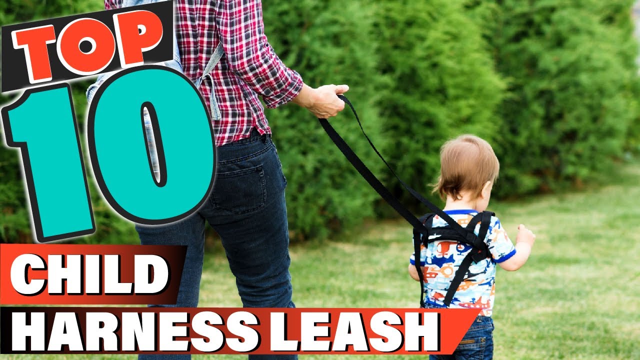 Best Child Harness Leash In 2022 - Top 10 Child Harness Leashes Review