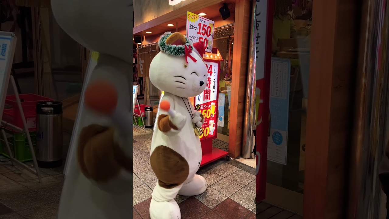 Dancing cat in Osaka 🇯🇵 