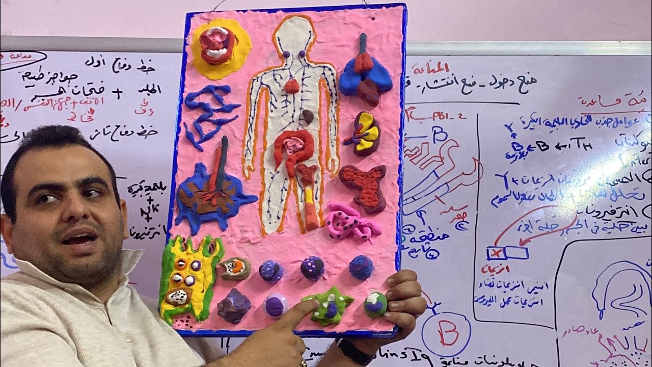 آلية عمل الجهاز المناعى فى الأنسان فى دقايق - أحياء ٣ث