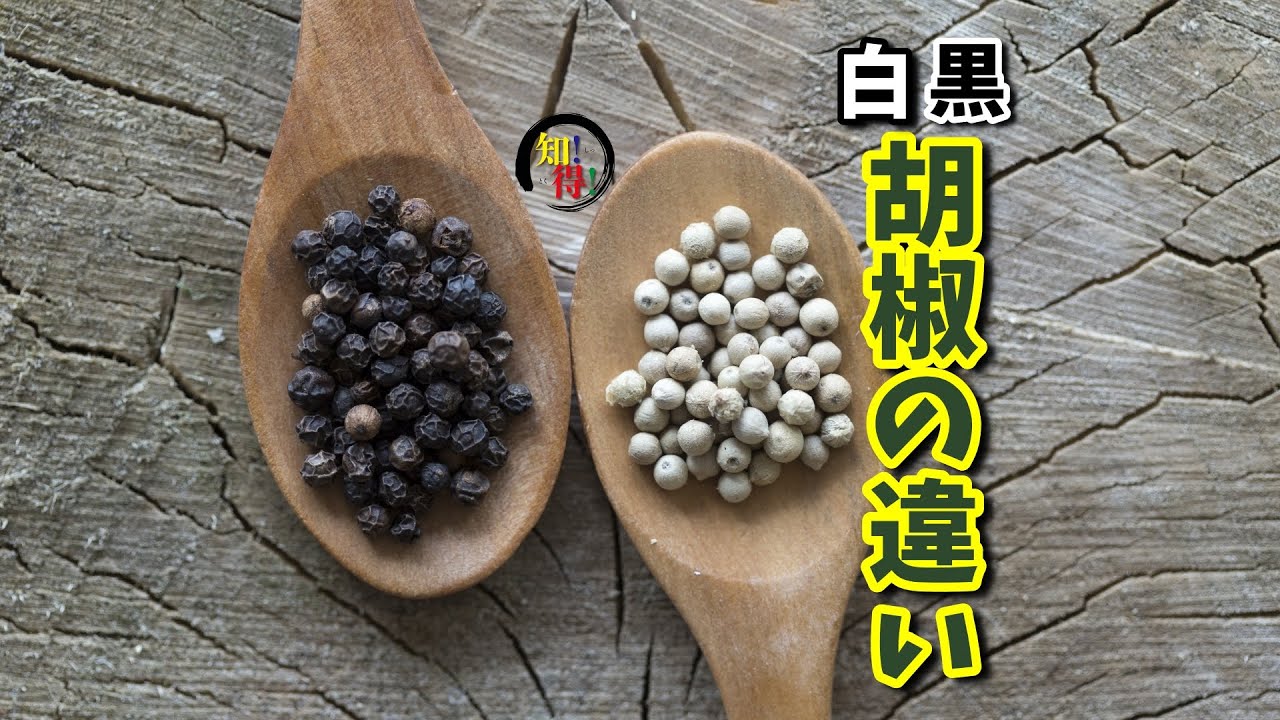 白胡椒と黒胡椒の違いは何？ 　◆知っ得◆雑学