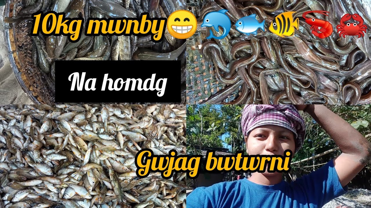 Gwjang bwtwrni na homdgmn 🙄magur gidir2 🤫#newvideo #tranding #bodochannel #vlog @limikahere8474