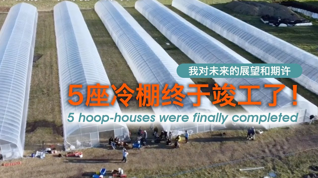 5座大棚竣工了！&ldquo;冷棚&rdquo;一年能挣多少？谈谈对农场未来的展望和理想