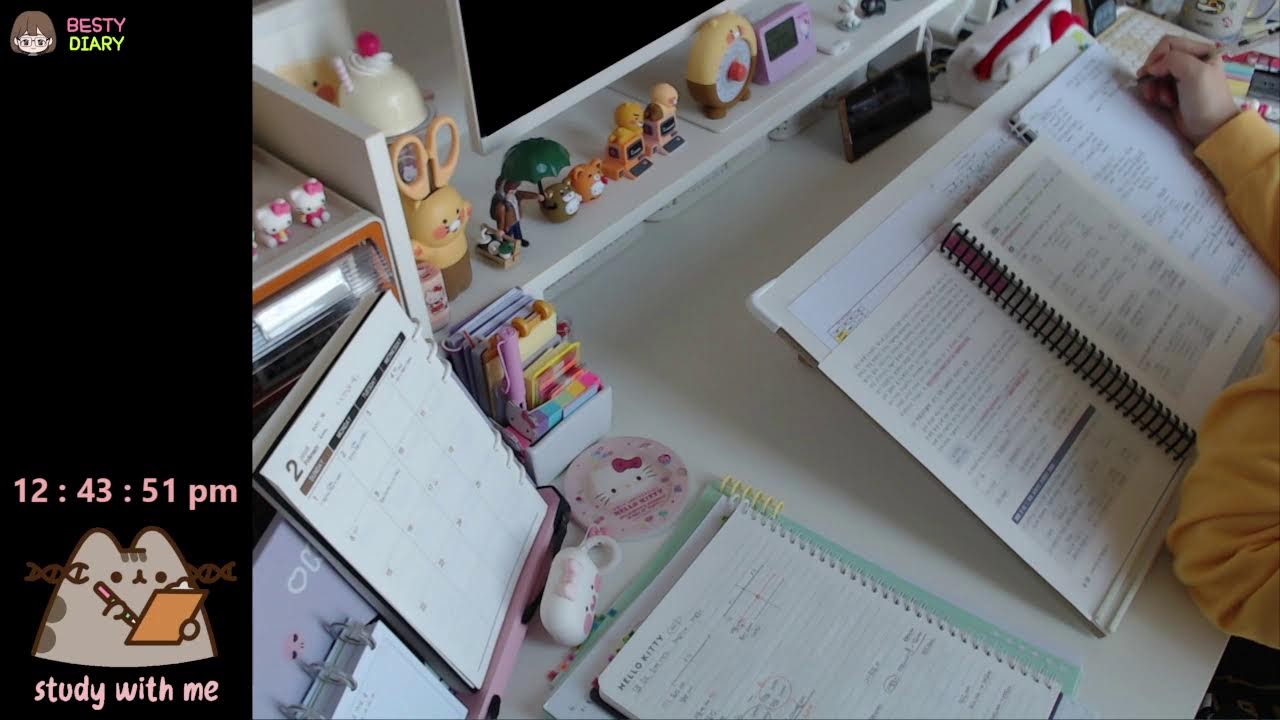 STUDY WITH ME