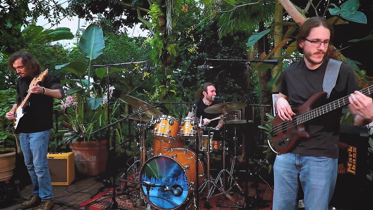 Earthmother - Me and Julio Down by the Schoolyard (Canopy Covers)