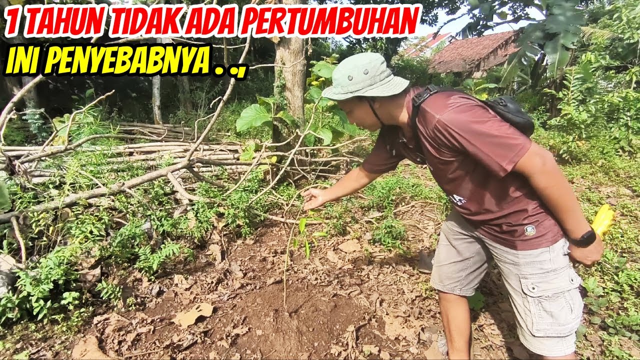 Kasus Nyata! Tanaman Mandek 1 Tahun Gara-Gara Hal Sepele
