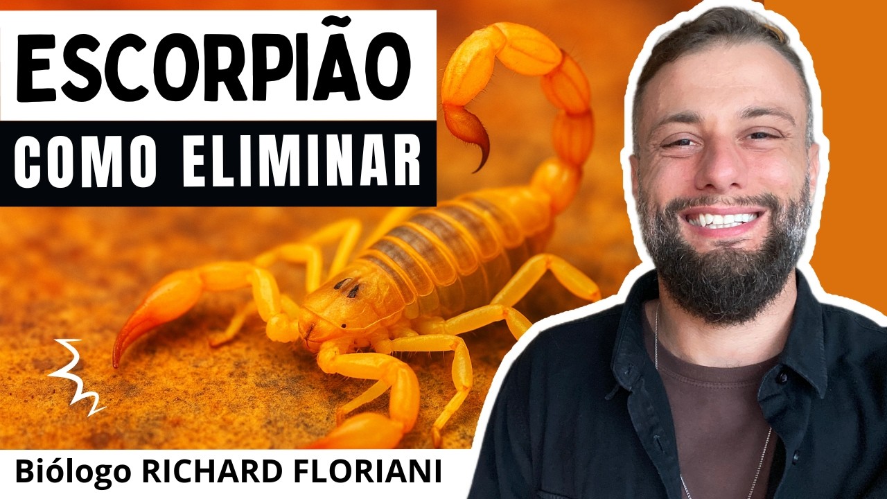 Biólogo Revela Onde o Escorpião-Amarelo se Esconde (e Como Evitar que Entre na Sua Casa)