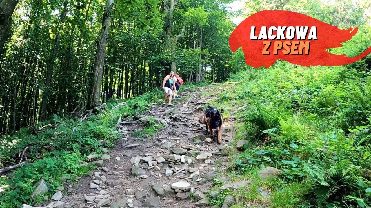 Lackowa, Ostry Wierch  i Biała Skała z psem. Burza w górach
