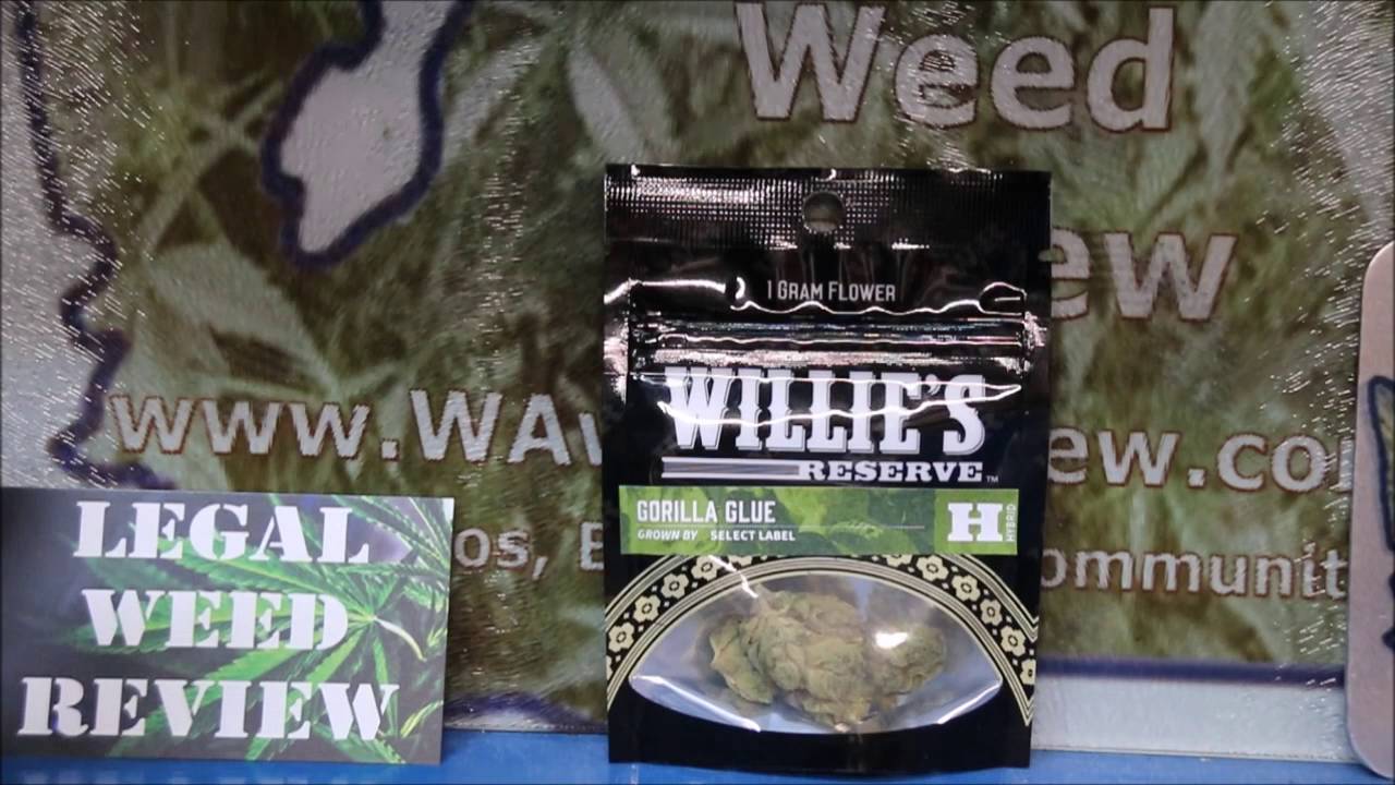 Willies Gorilla Glue Strain Legal Weed Review Hempwick and Weed Run