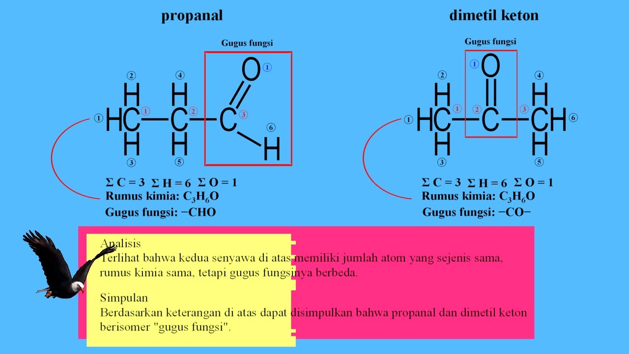 ISOMER GUGUS FUNGSI; ALKANAL - ALKANON