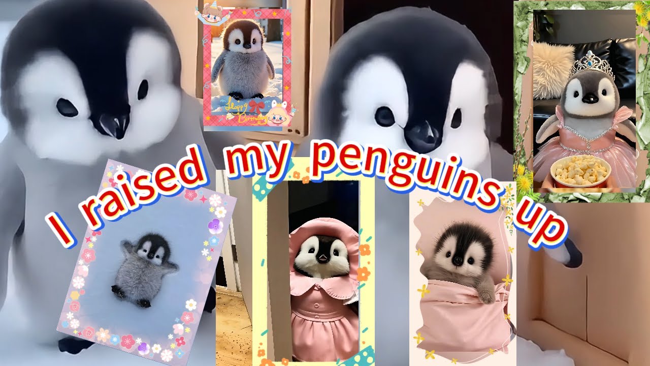 I raised my penguins up #cute #adorable #adorableanimals #pet #pets #penguin #baby #ai #healing