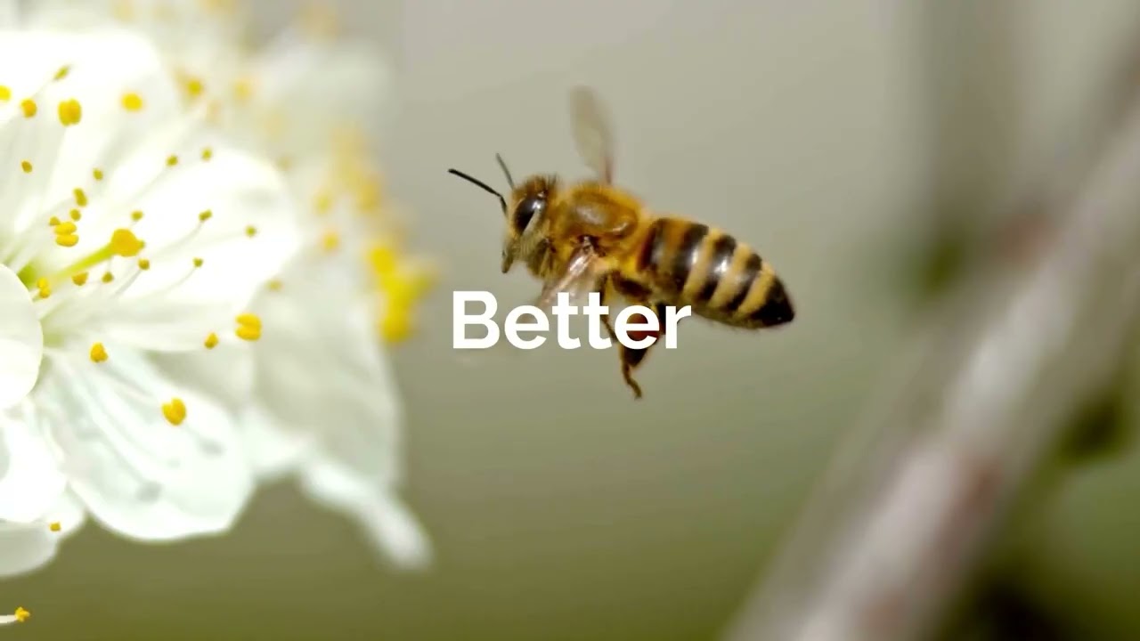 Launch of the new B2BeeMatch platform