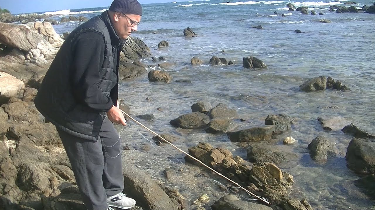 Cattura del granchio favollo reale pescare i granchi pesca dalla scogliera catturare mani bacchetta