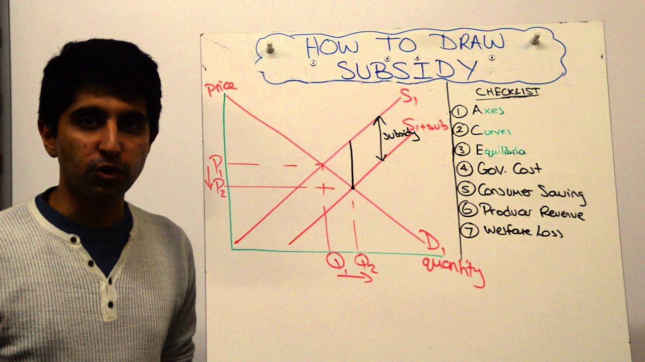 Subsidy