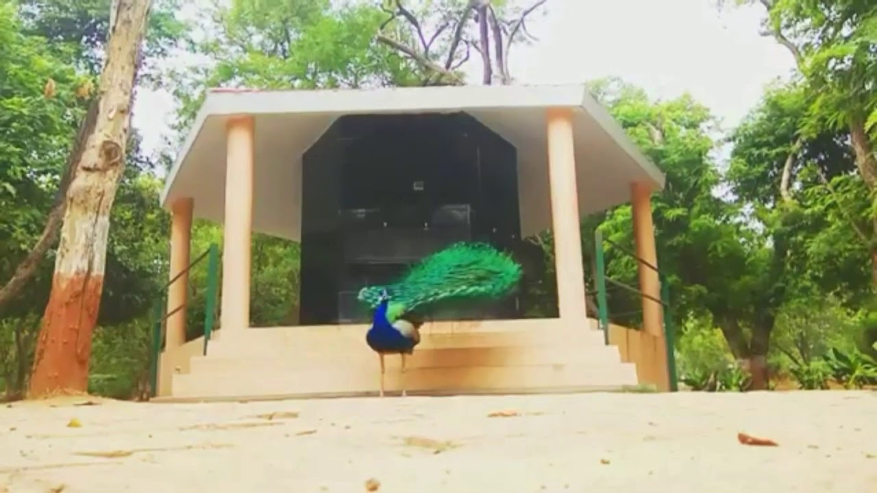 グジャラート | インドの素晴らしい州 | 簡単な紹介